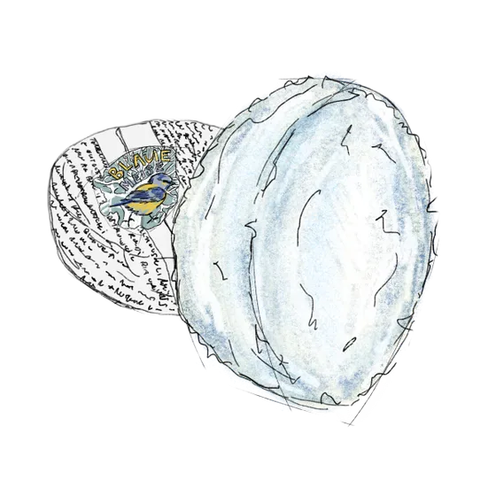 Blaue Meise — blauwe kaas uit Emmental / Boll (kanton Bern)
