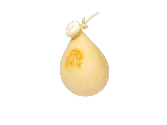 Caciocavallo — harde kaas uit Zuid-Italië (Basilicata, Calabria, Campania, Molise, Puglia)