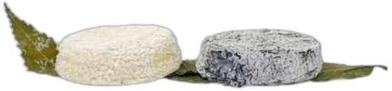 Chèvre Feuille Cendré — geiten- en schapenkaas uit Gâtine Poitevine (Parthenay, Deux-Sèvres)
