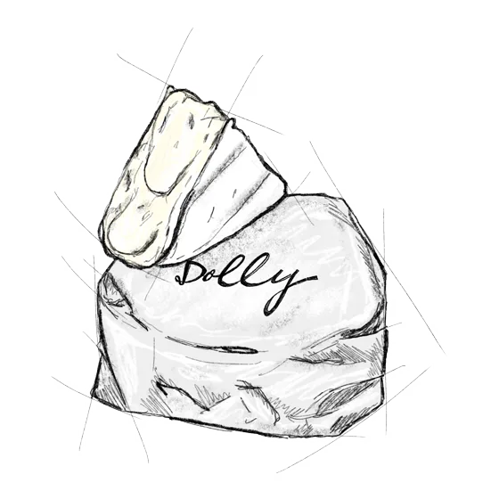 Dolly — witschimmelkaas uit Emmental (kanton Bern)