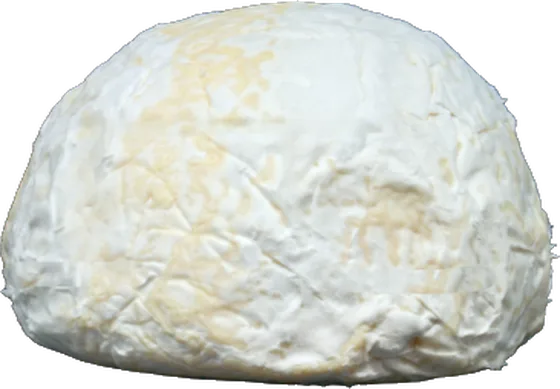 Dôme de Boulogne — witschimmelkaas uit Boulonnais / Côte d'Opale (Wierre-Effroy, Pas-de-Calais)