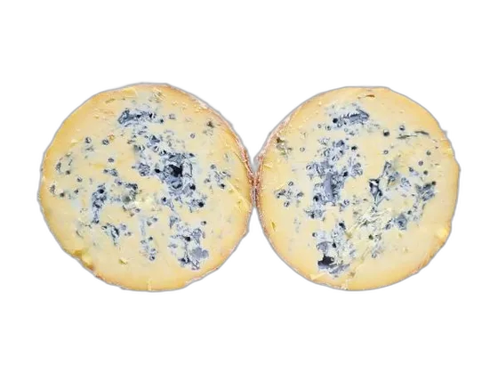 Fourme de Montbrison — blauwe kaas uit Monts du Forez (Loire en Puy-de-Dôme)