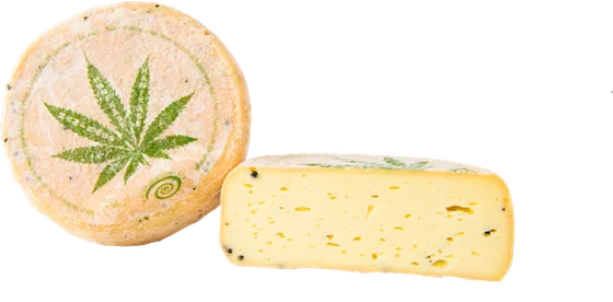 Hanfmutschli — harde kaas uit Emmental (Boll, kanton Bern)