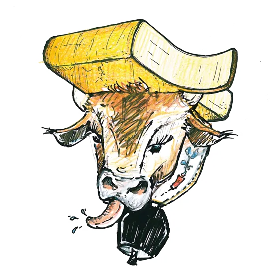 Jumi Raclette Nature — harde kaas uit Emmental (kanton Bern)