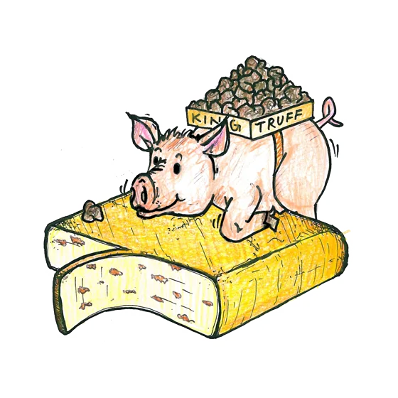 Jumi Raclette Trüffel — harde kaas uit Emmental (kanton Bern)