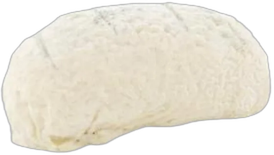 Petit Pain de Ventadour — geiten- en schapenkaas uit Corrèze (Moustier-Ventadour), Nouvelle-Aquitaine