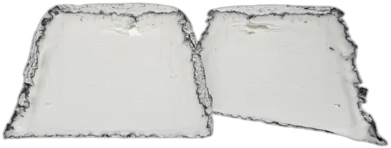 Pyramide Cendrée — geiten- en schapenkaas uit Gâtine poitevine (Le Tallud/Parthenay, Deux-Sèvres)